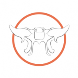 Naturheilpraxis Finn Scheunemann Logo