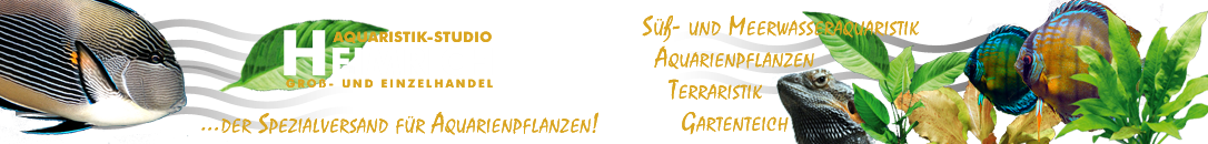 Aquaristik-Studio Heimrich Logo