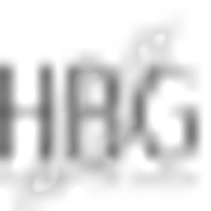 heligo.aero Logo
