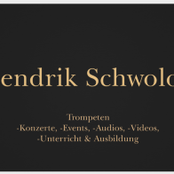 Schwolow Hendrik Artist Logo