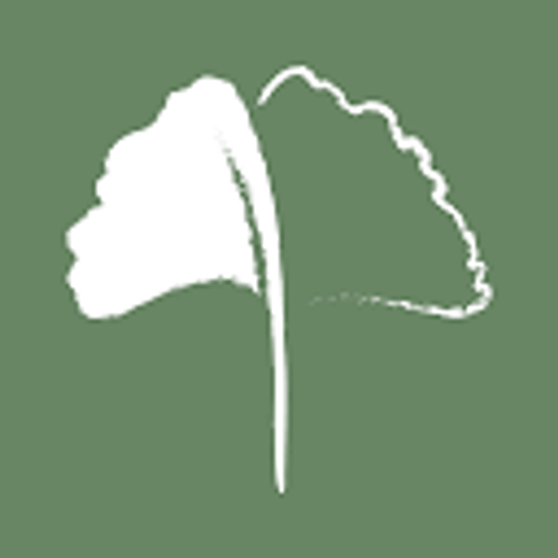 Herbasinica Logo