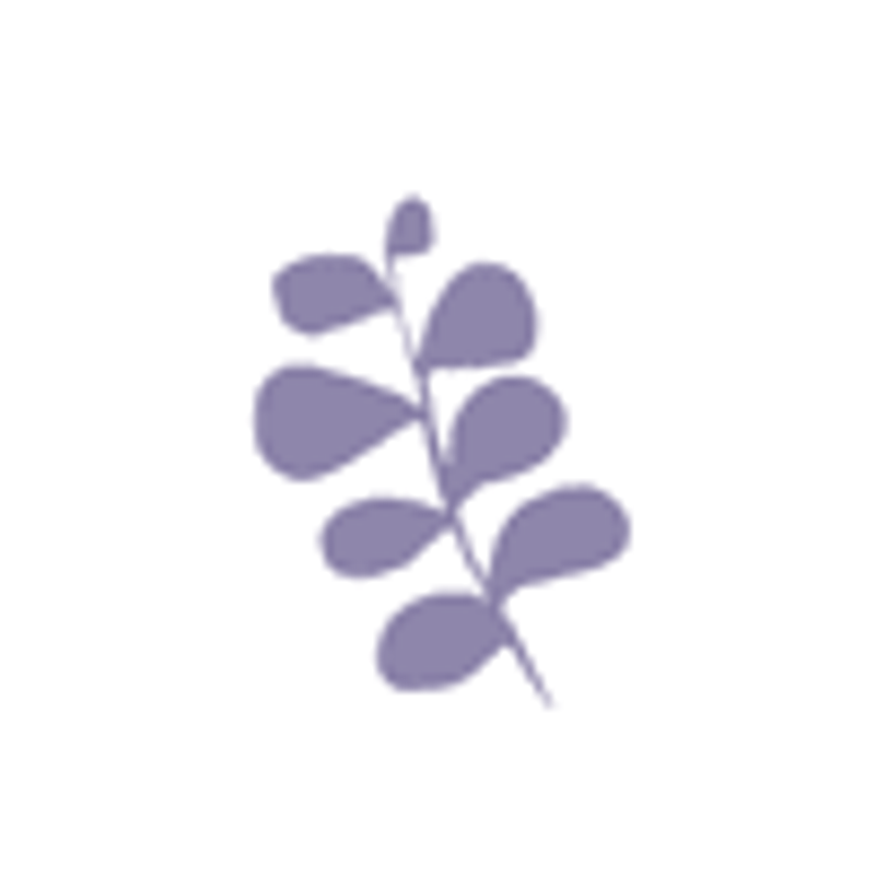 Bloom Studio Logo