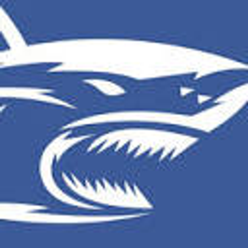 Hi Shark Logo