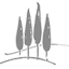Bestattungen Fritz Hild Logo