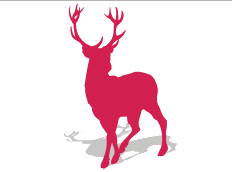 Hirschel Cosmetic - Einfach schön sein Logo