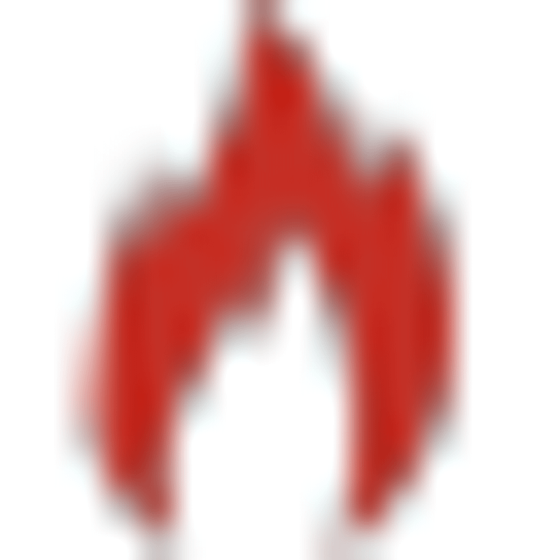 Hochzeitsfeuershow Logo