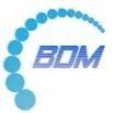 BDM-Systems - Sound & Light / DJ Markus Berens Logo