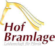 Bramlage Norbert Pferdezucht Logo