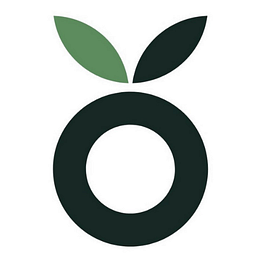 Holivio Logo
