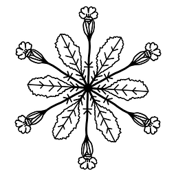 hollenkraut.shop Logo