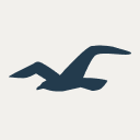 Hollisterde Logo