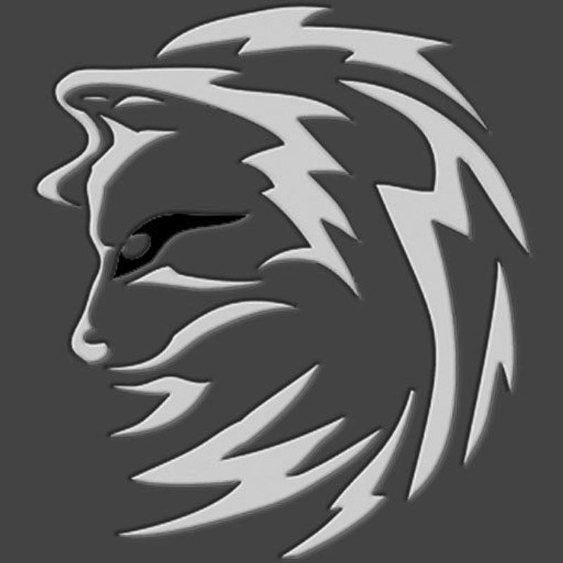 Holzer Printconcept Logo