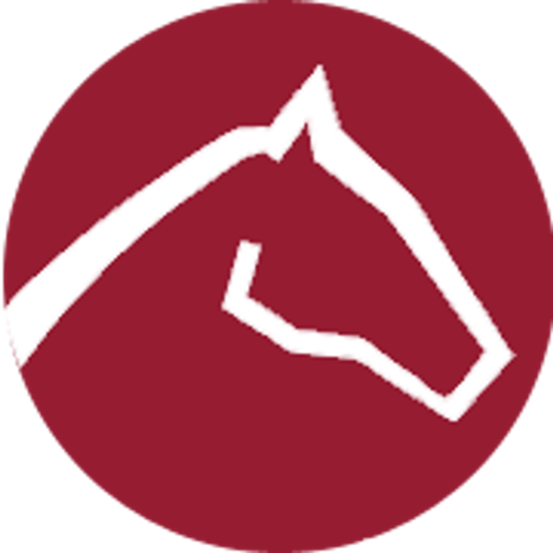 Horse Reitsport Logo
