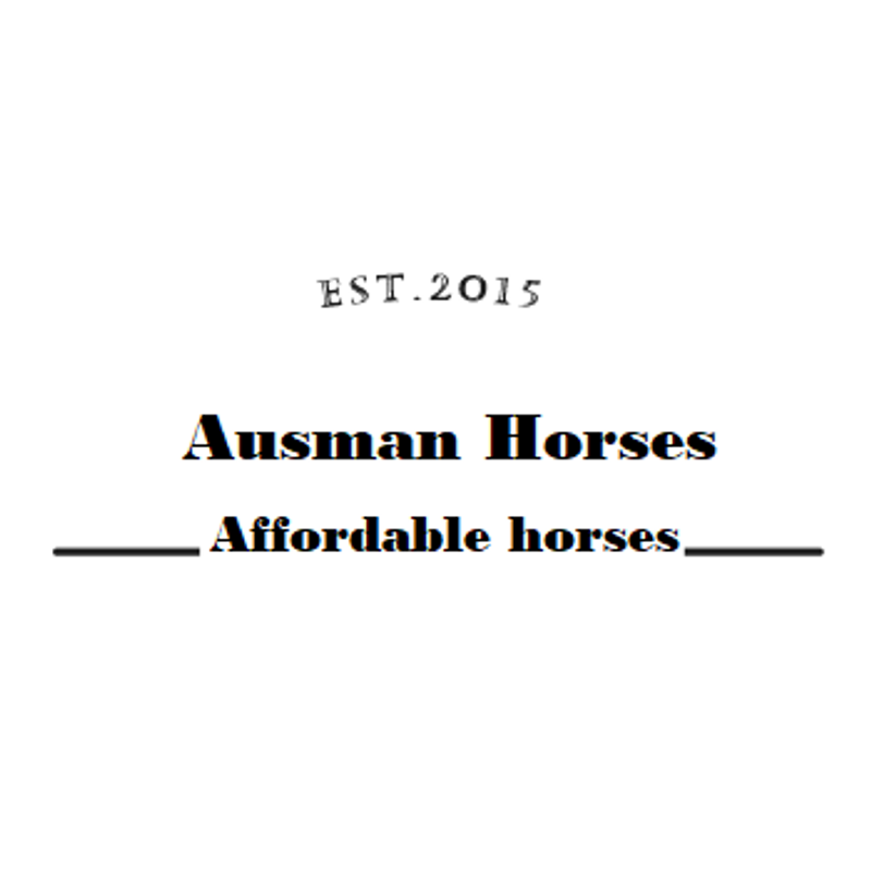 Horsesforsaleonline Logo