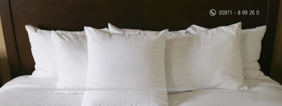 Hotel Freye Logo