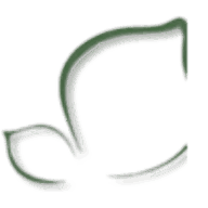 Licklederer-Wenninger Gabriele Logo