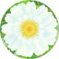 Hotel Pension Hönig Logo