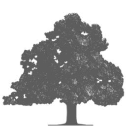 Zur Ulme Logo