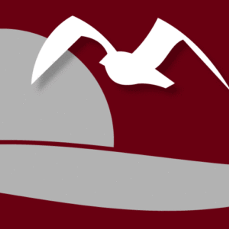 Hotelzurostsee Logo