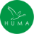 HUMA Logo