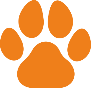 Hundepension Hollerhof Logo