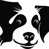 Hundeprofi Shop Logo