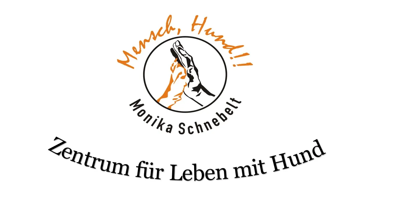Schnebelt M. Logo