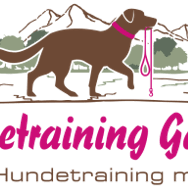 Hundetraining Gaiberg Logo