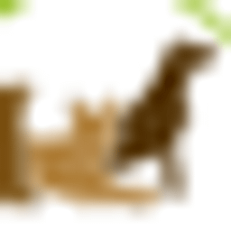 Individuelles Hundetraining - Andrea Rütten Logo