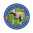 Hundetraining Weinfelden Logo