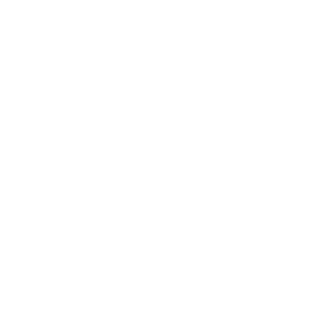 Hvide Sande Camping Logo