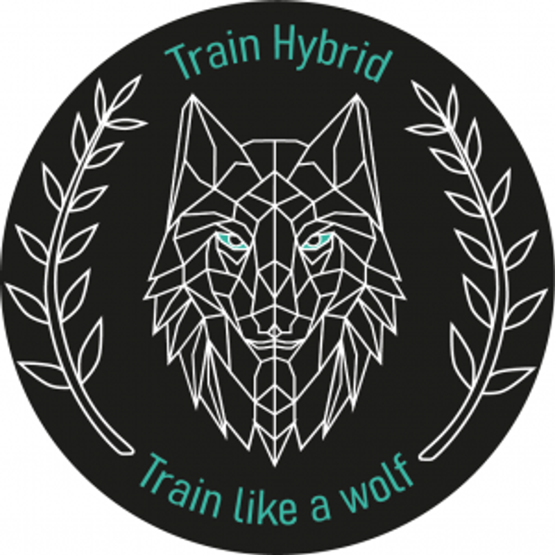 Athletik-& Personal Trainer Marko Kastrat Logo
