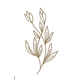 Hydepark Engstingen Logo