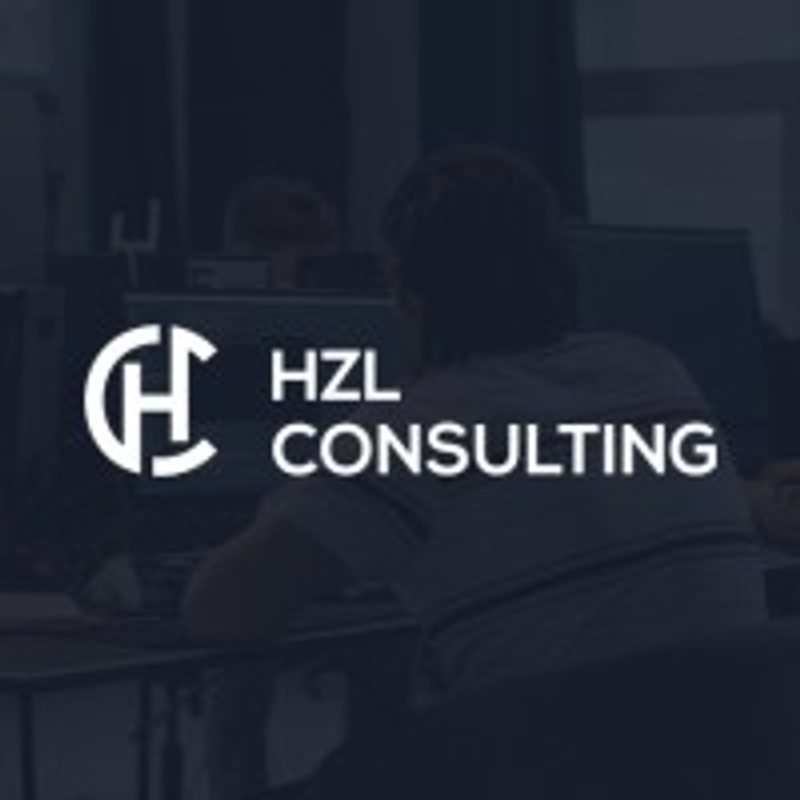 HZL Consulting GmbH Logo