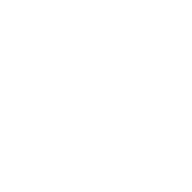 i-Punkt Skateland Sportanlagen Logo