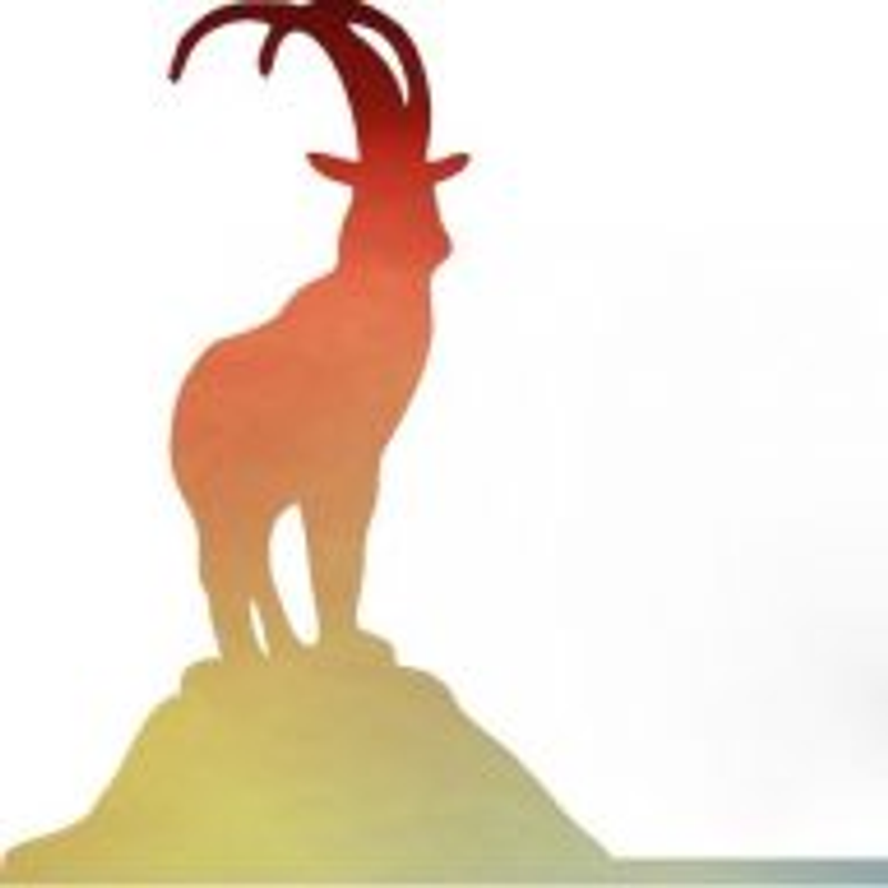 Ibex Audio Logo