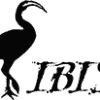 IBIS-Akademie Logo