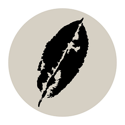 icho-tee.de Logo
