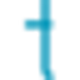 IC Logo