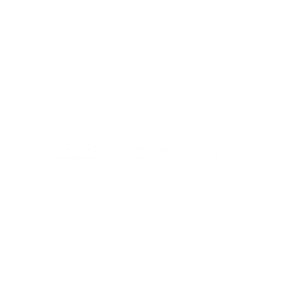 Ideallinie Streetwear Logo