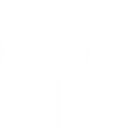 Iflyonlyvip Logo