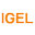 IGEL Projekt Service GmbH Logo