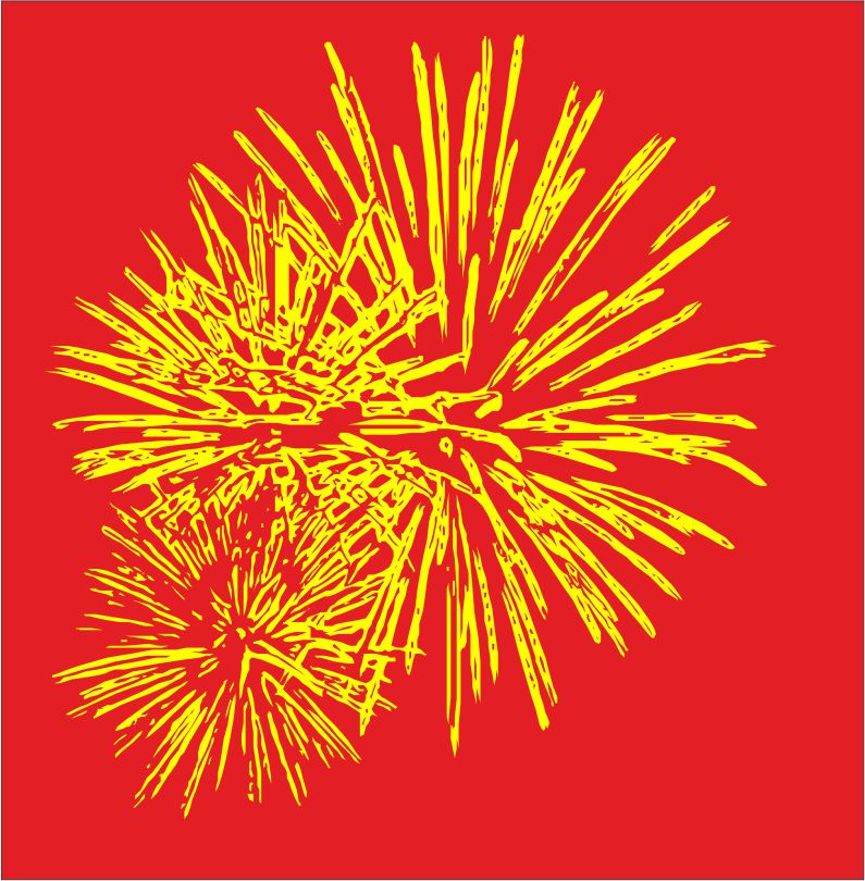 ignis-Zündtechnik Feuerwerkerei Logo