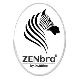Ilsen Logo