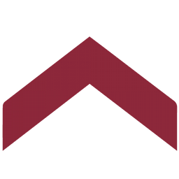 Immobilien Friedrichsen GmbH & Co. KG Logo
