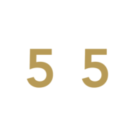 Immobilien55 Deutschland GmbH Logo