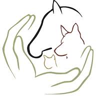 Energetische Tierheilpraxis und Physiotherapie Logo