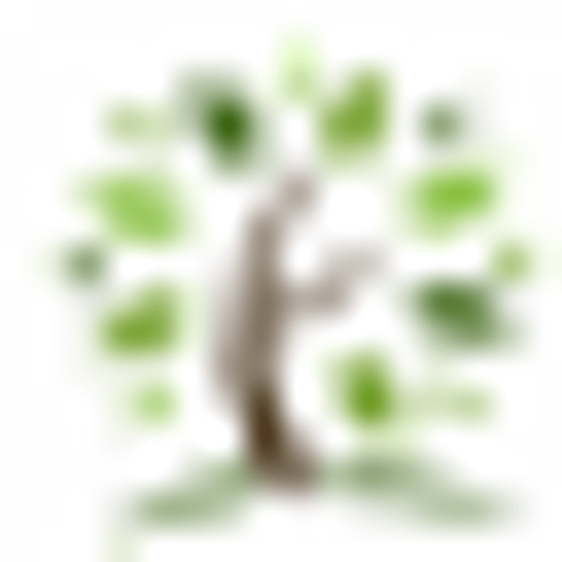 Initiative Baum Logo