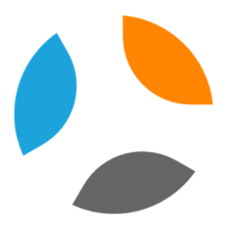 InSitu Software GmbH Logo