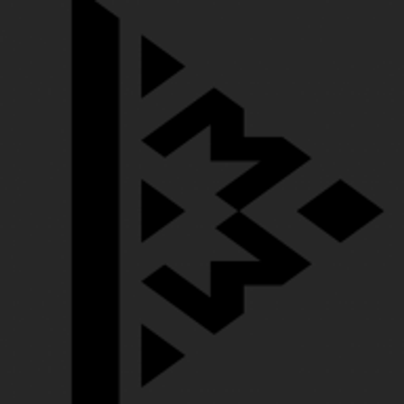 INSTAR MEDIA Logo